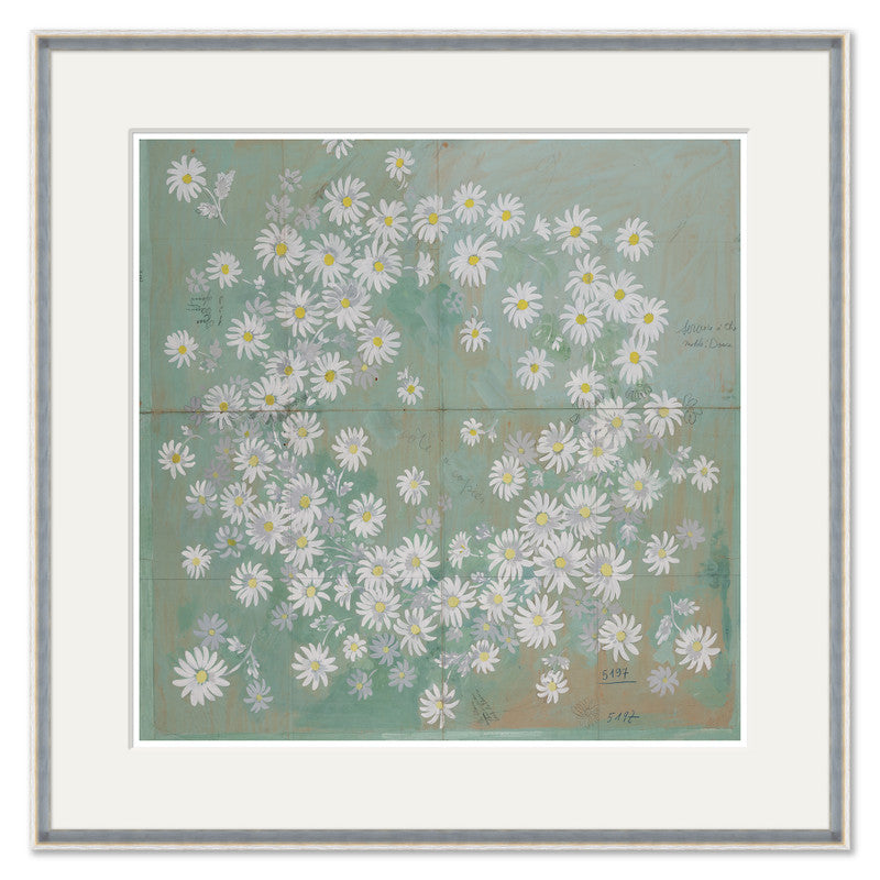 Paule Marrot Daisies Artwork